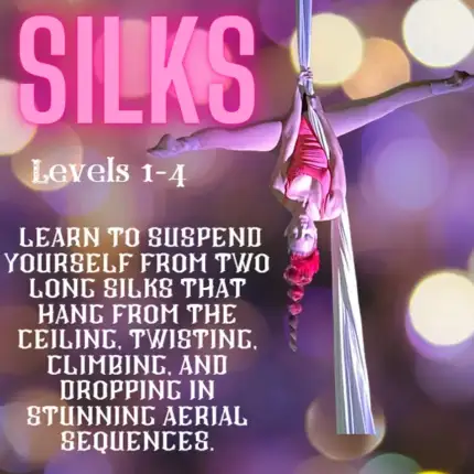 Silks: Learn to suspend yourself from two long silks that hang from the ceiling, twising, climbing and dropping in stunning aerial sequences.